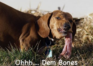 dem_bones