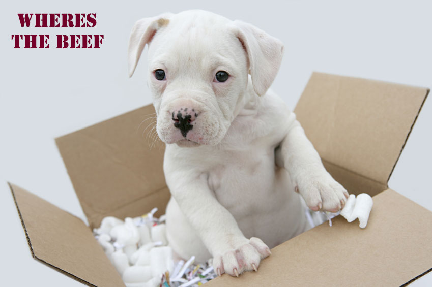raw food delivery for dogs